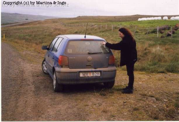 iceland_06.jpg - Die Ringstra�e ist die am besten ausgebaute Strecke auf Island. Trotzdem gibt es Passagen, die eher an eine Piste erinnern und entsprechende Spuren am Auto hinterlassen.