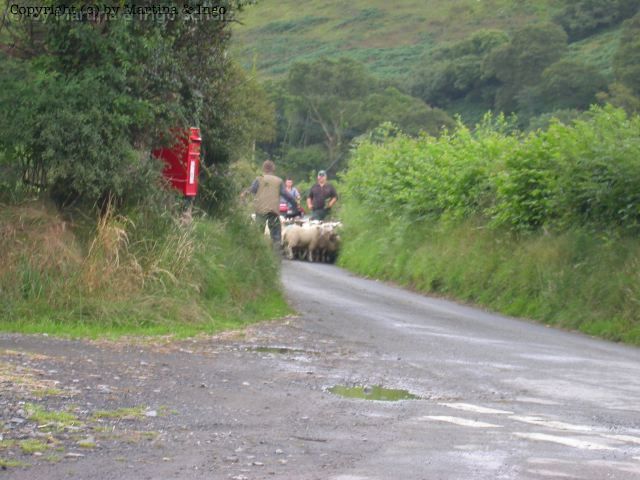 dscn0129.jpg - Welsh Traffic.