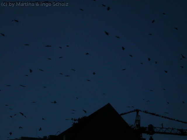 dscn1061.jpg