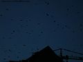 dscn1061