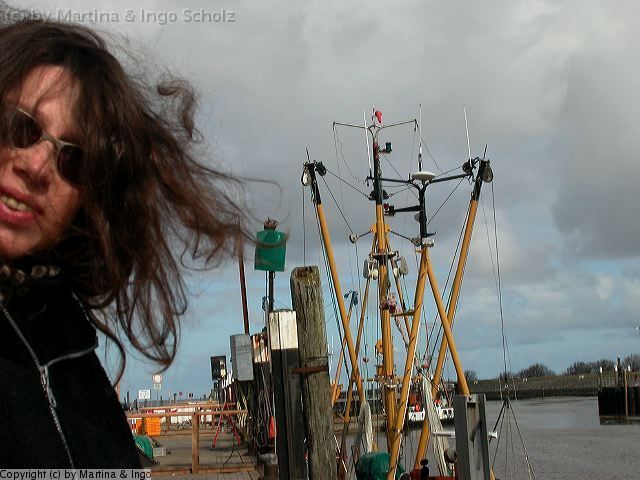 dscn1219.jpg - Auch bei sch�ne Wetter gab es ordentlich Wind.