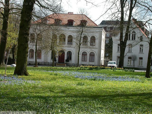 dscn1236.jpg - Der Fr�hling sendet seine ersten Boten.