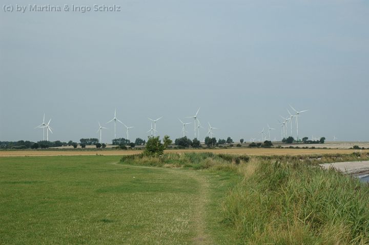 20050820110935.jpg - Wanderweg am Campingplatz "Klausdorfer Strand"