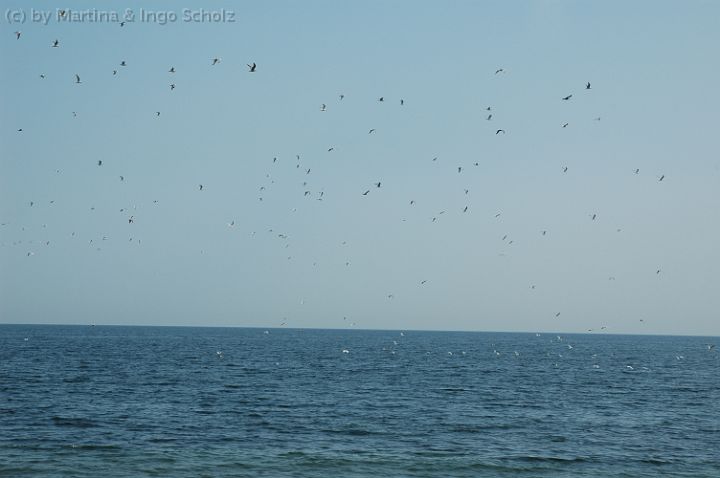 20050820120016.jpg - Wanderweg am Campingplatz "Klausdorfer Strand"