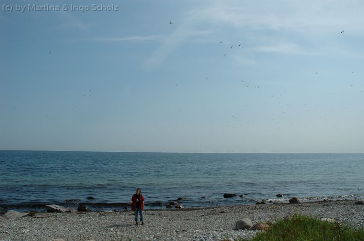 20050820120025.jpg - Wanderweg am Campingplatz "Klausdorfer Strand"