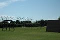 20050822151753