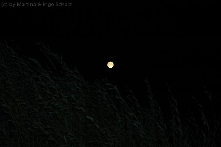 dsc_2494.jpg - und eine laue Sommernacht