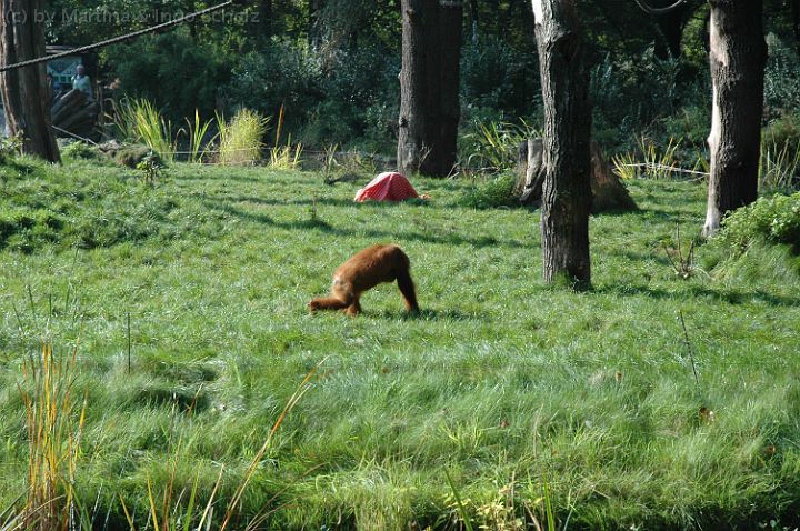 dsc_2815.jpg