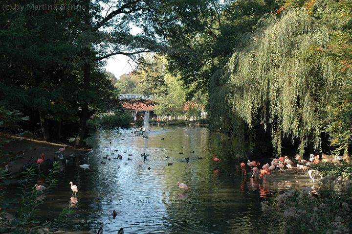 dsc_2842.jpg