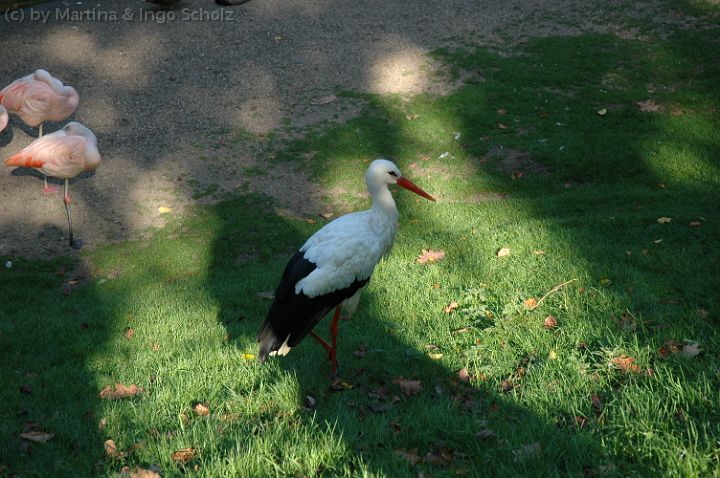 dsc_2847.jpg