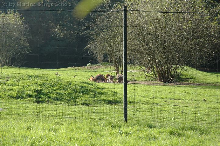 dsc_2849.jpg