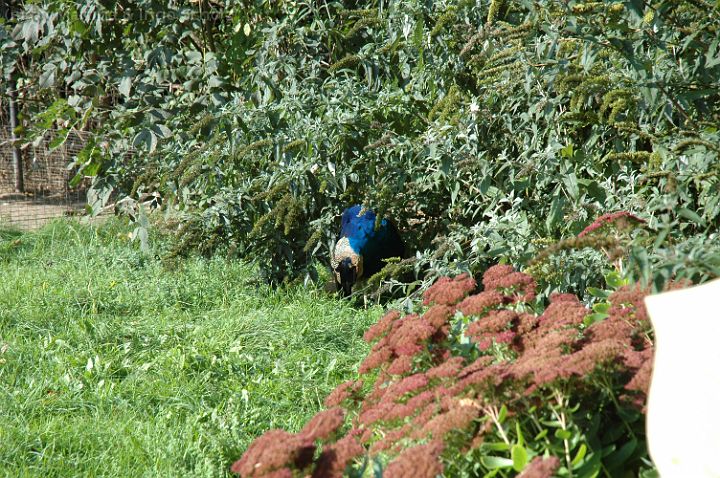 dsc_2851.jpg