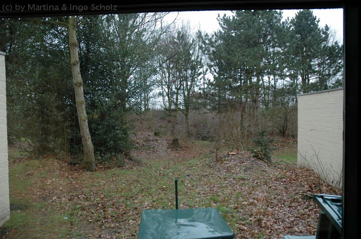 dsc_2931.jpg