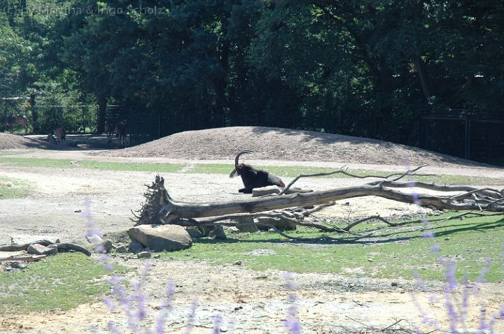 20070708_115706.jpg