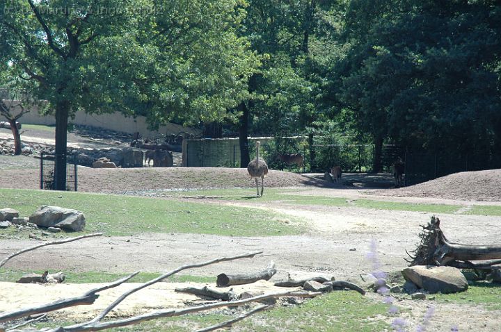 20070708_115709.jpg