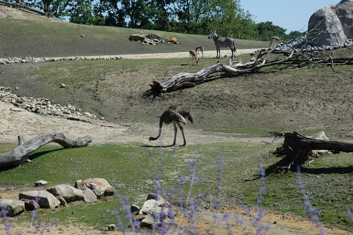 20070708_115716.jpg
