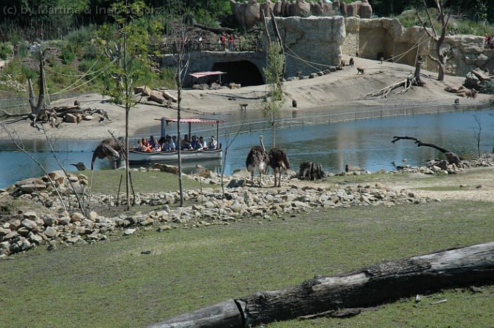 20070708_120337.jpg
