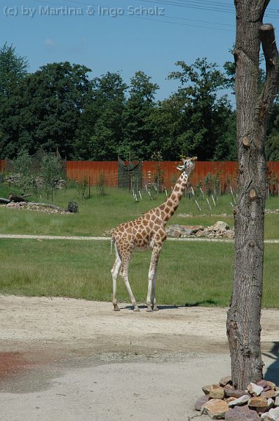 20070708_120500.jpg