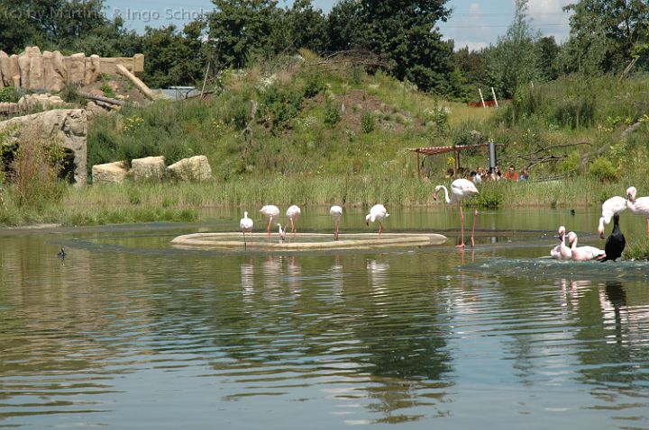 20070708_123054.jpg