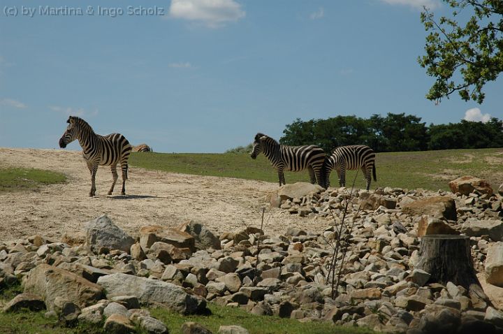 20070708_123316.jpg