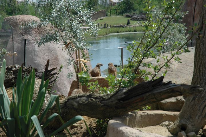 20070708_130223.jpg