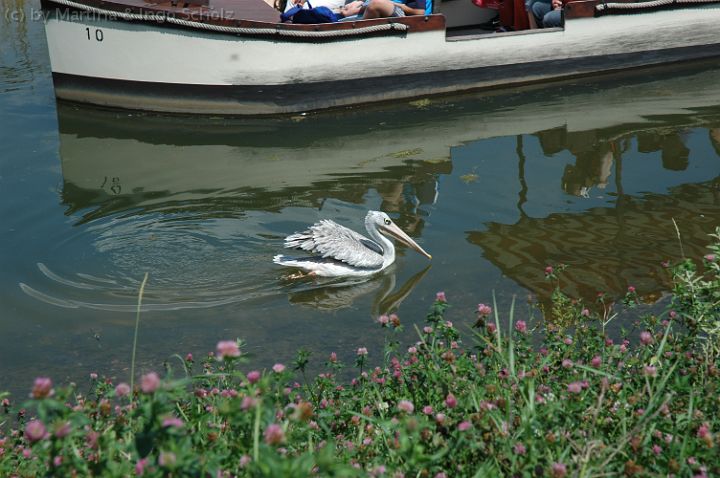 20070708_130616.jpg