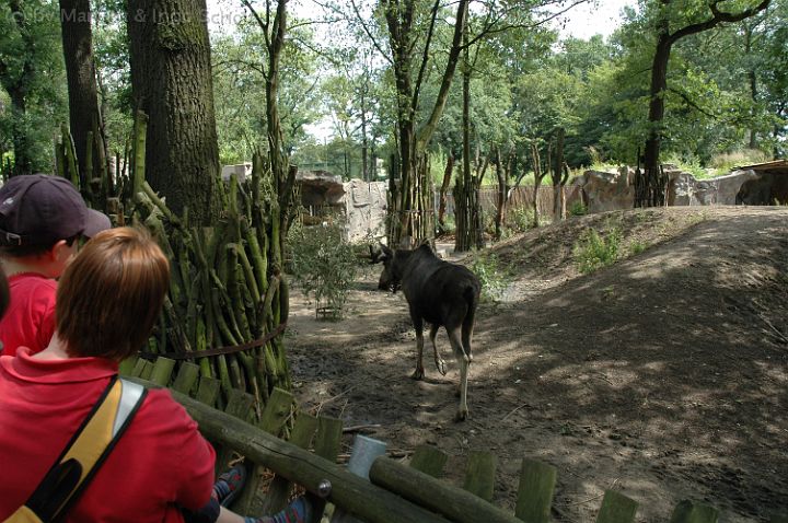 20070708_144836.jpg