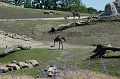 20070708_115716