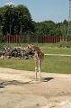 20070708_120600