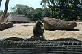 20070708_122245