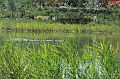 20070708_122705