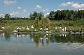 20070708_123100