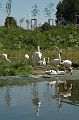 20070708_123121