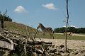 20070708_123245