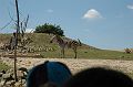 20070708_123252