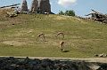 20070708_123430