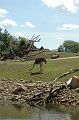20070708_125619