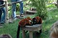 20070708_133753