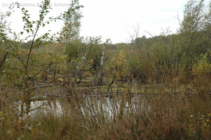 DSC_5438.jpg