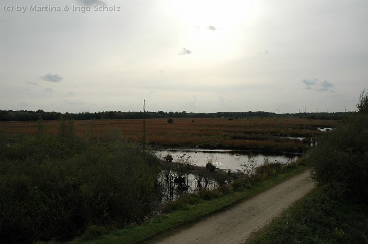DSC_5443.jpg