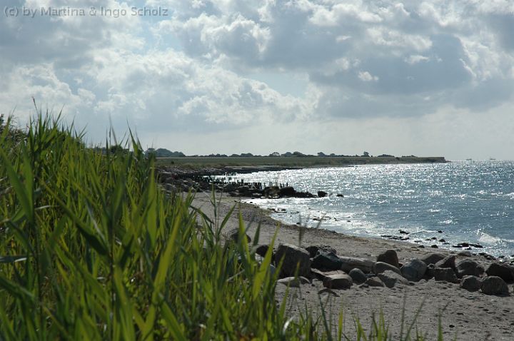 DSC_5031.jpg