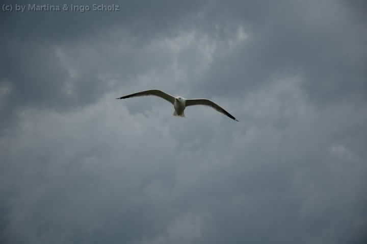 DSC_5063.jpg