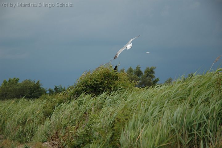 DSC_5071.jpg