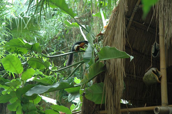 DSC_5270.jpg
