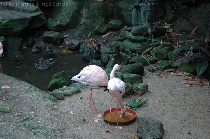 DSC_5277.jpg