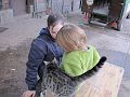 IMG_1179