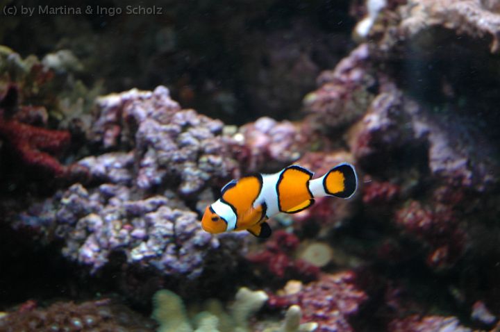 DSC_6570.jpg