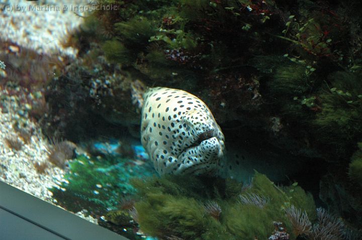 DSC_6572.jpg