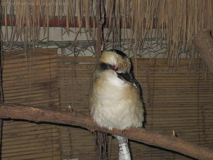 IMG_1347.jpg