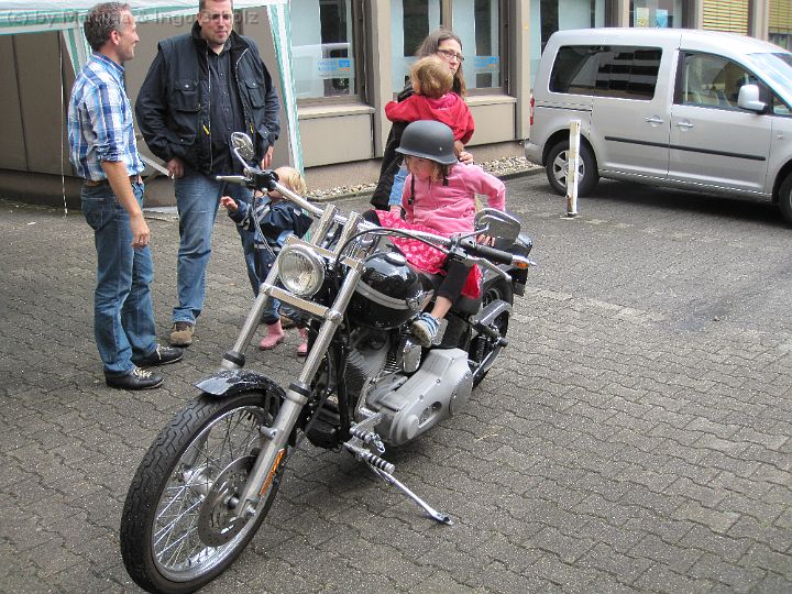 IMG_0321.JPG -                                